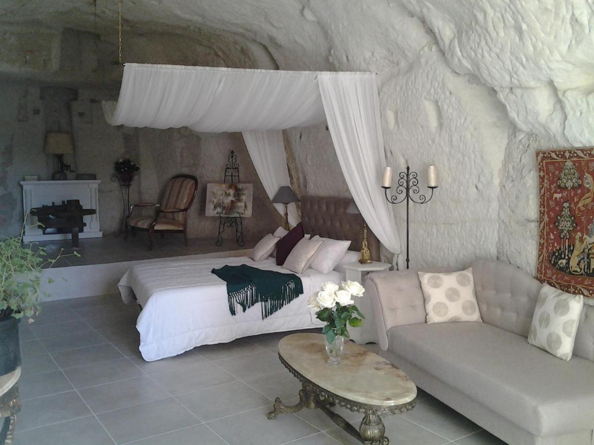 Bourré Le Manoir Des Roches B&B 외부 사진
