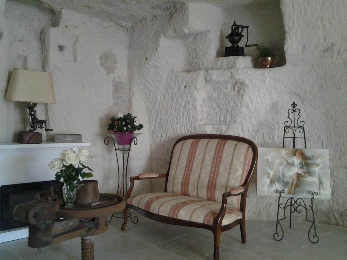 Bourré Le Manoir Des Roches B&B 외부 사진