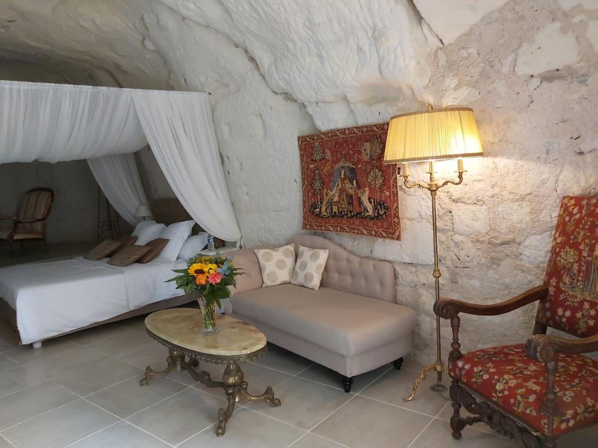 Bourré Le Manoir Des Roches B&B 외부 사진