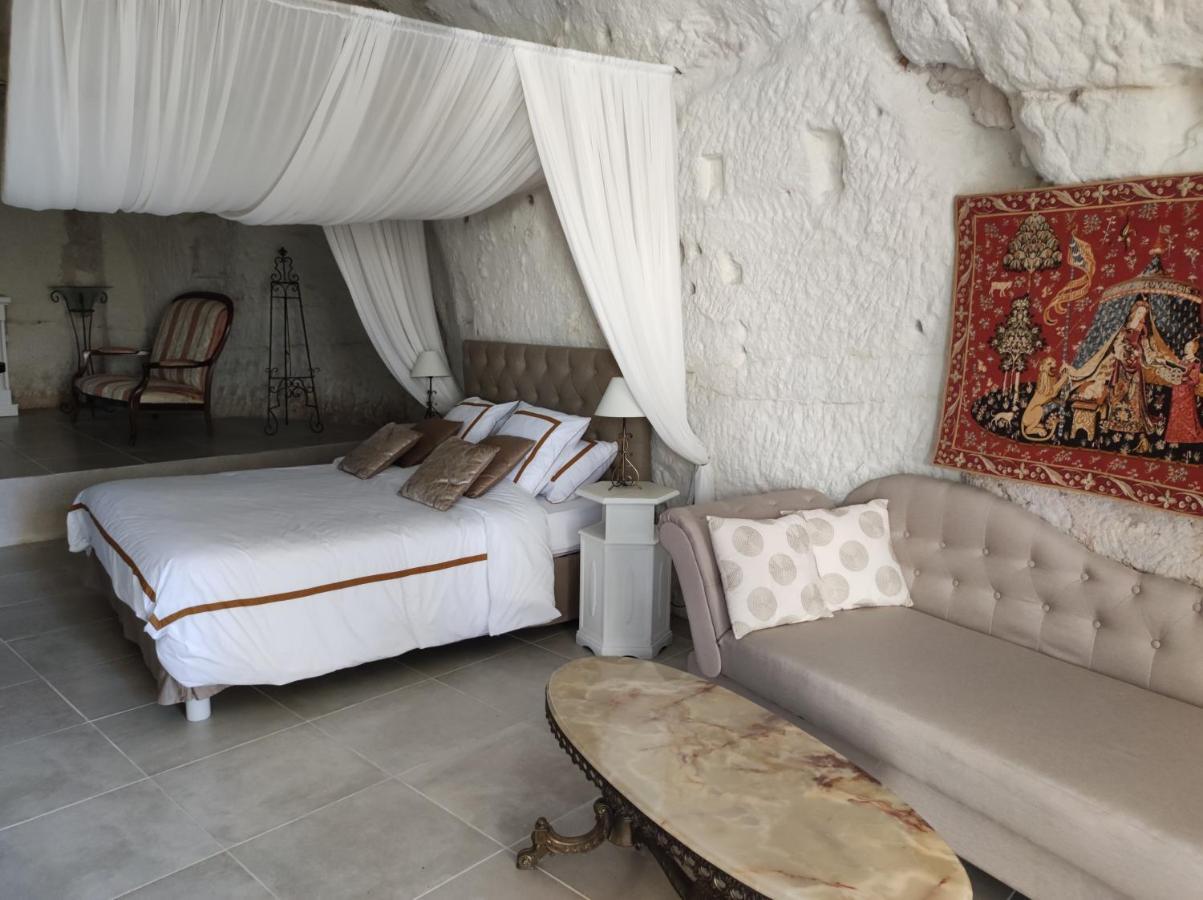 Bourré Le Manoir Des Roches B&B 외부 사진