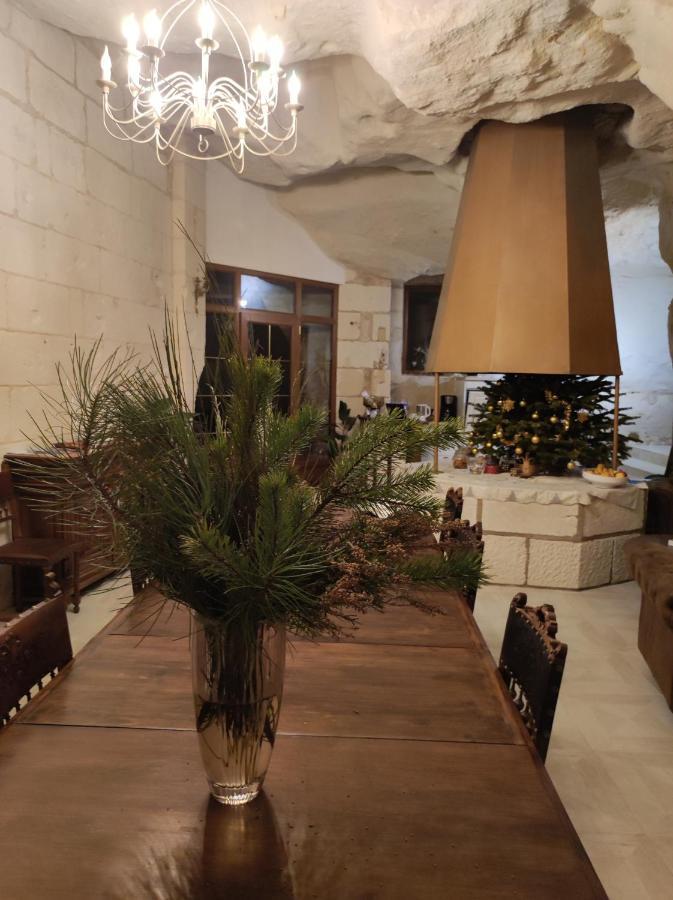 Bourré Le Manoir Des Roches B&B 외부 사진
