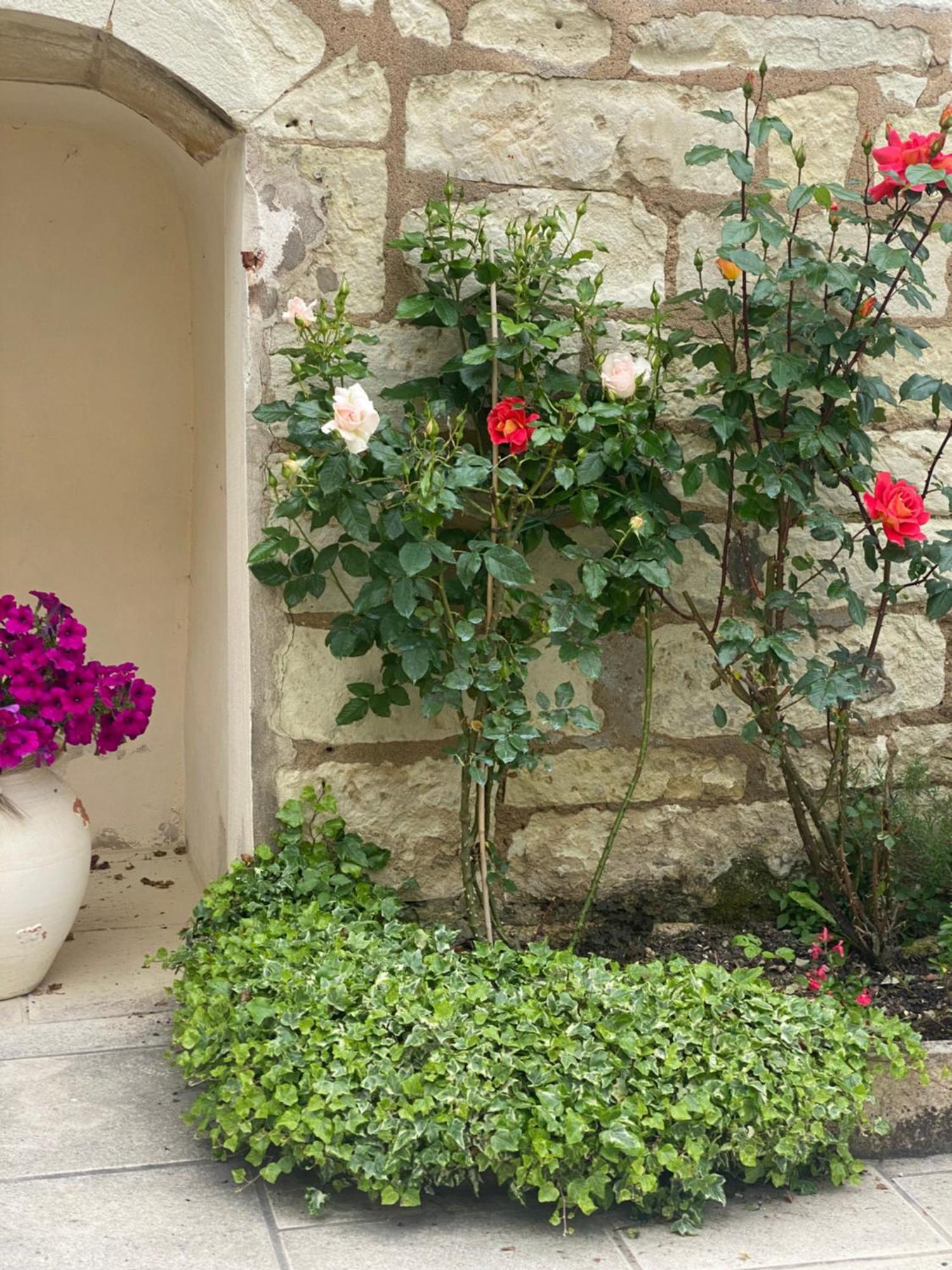 Bourré Le Manoir Des Roches B&B 외부 사진