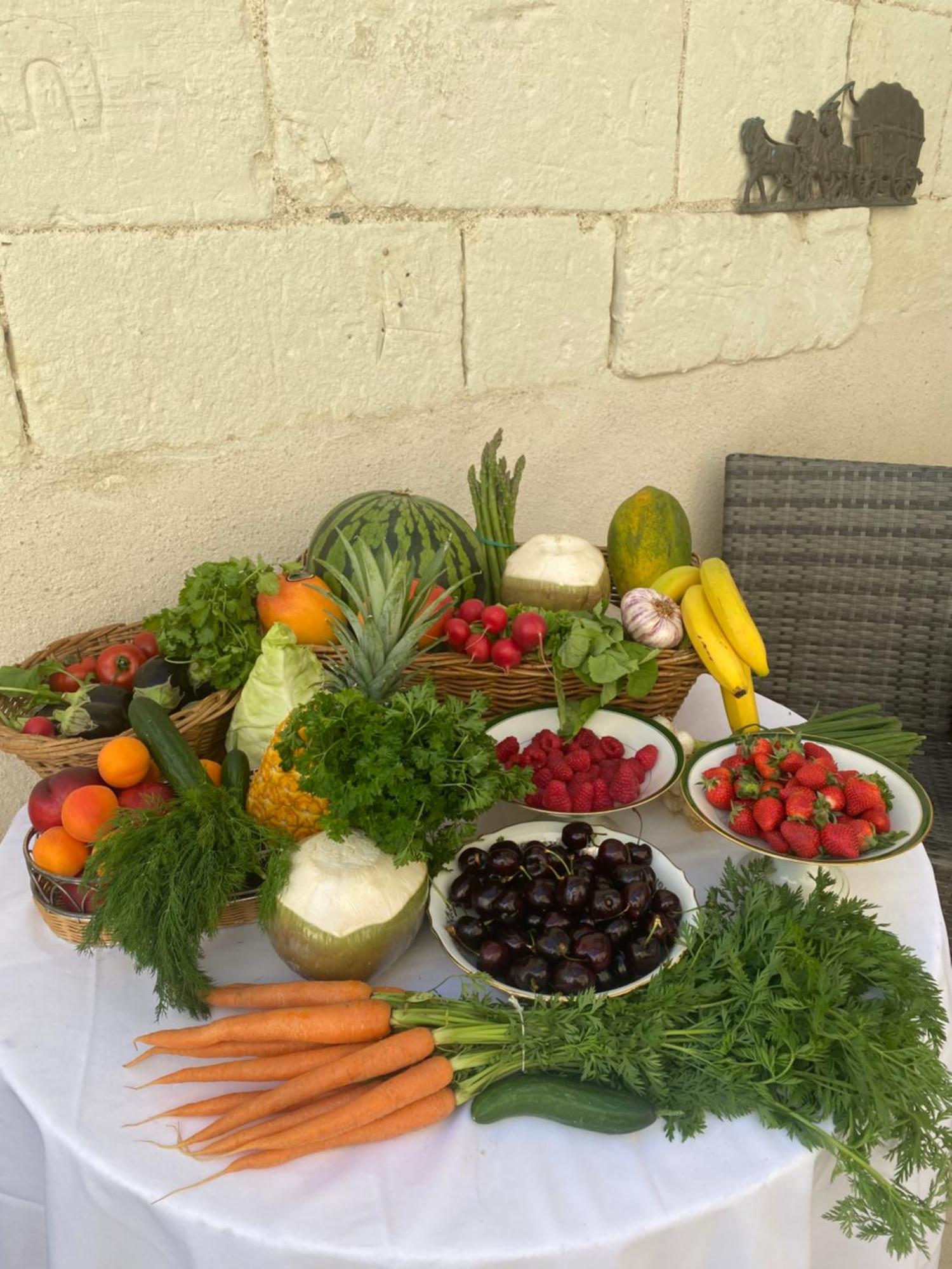 Bourré Le Manoir Des Roches B&B 외부 사진